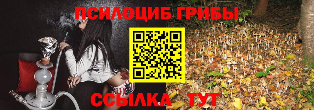 Галлюциногенные грибы MAGIC MUSHROOMS  Вход с VPN  наркота  Амурск  Галлюциногенные грибы GOLDEN TEACHER 