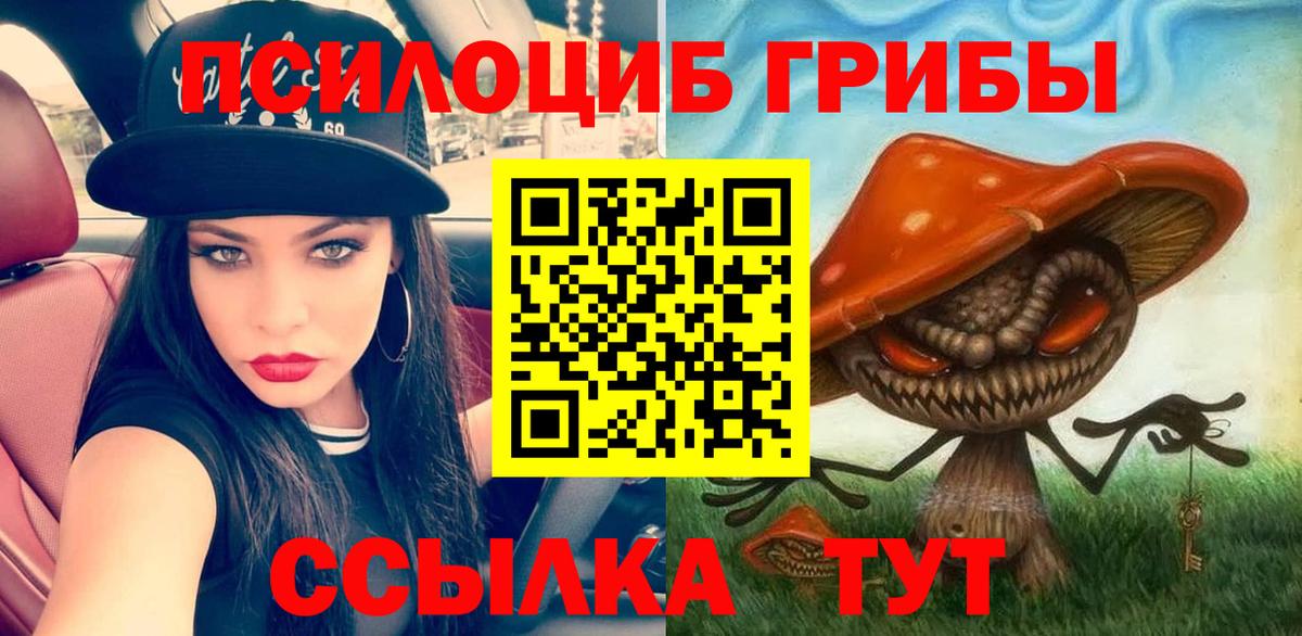 Галлюциногенные грибы GOLDEN TEACHER Амурск